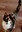 Screenshot_20250107_141036_Gallery.jpg
