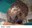 Screenshot_20250125_025849_Facebook.jpg