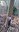 Screenshot_20250209_221449_Gallery.jpg