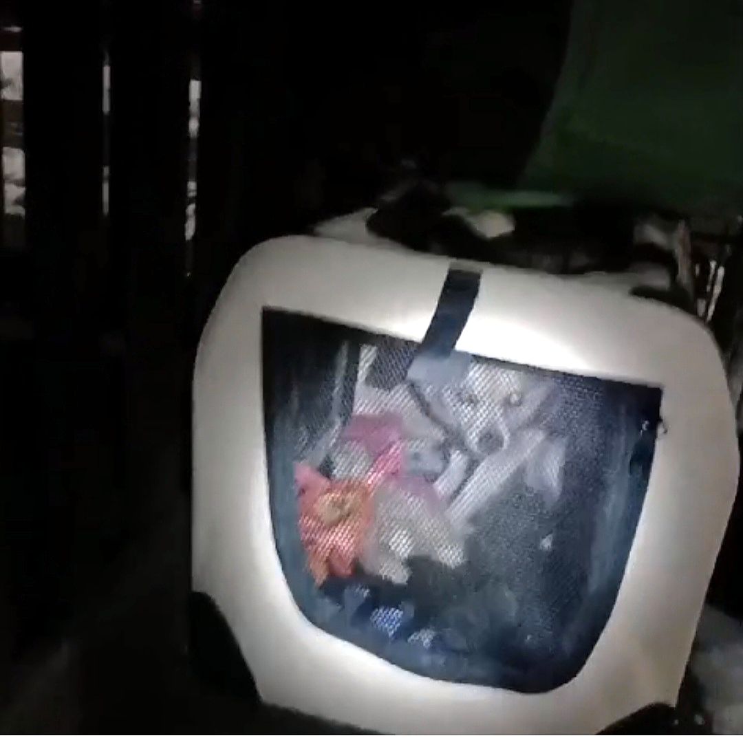 Screenshot_20250218_205342_Gallery.jpg