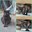 Screenshot_20250624_152256_WhatsApp.jpg