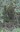 Screenshot_20250809_154851_Gallery.jpg