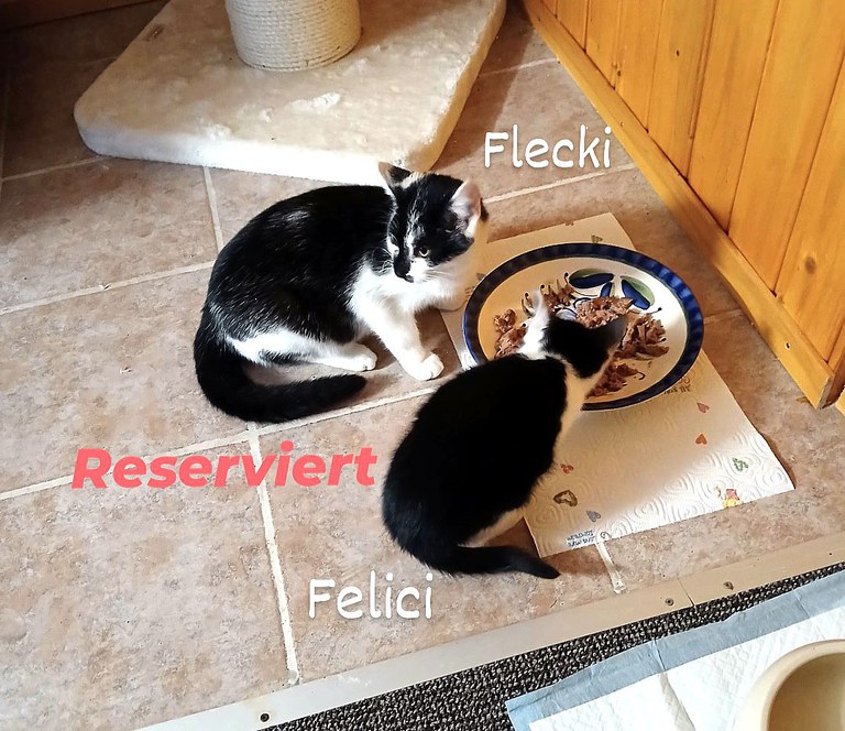 Screenshot_20251116_220658_Instagram.jpg Screenshot_20251116_220658_Instagram.jpg