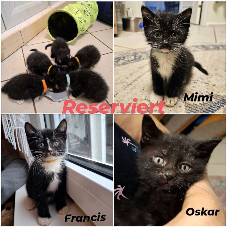 Screenshot_20251116_224407_Instagram.jpg Screenshot_20251116_224407_Instagram.jpg