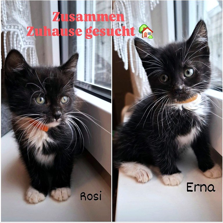 Screenshot_20251116_225042_Instagram.jpg Screenshot_20251116_225042_Instagram.jpg