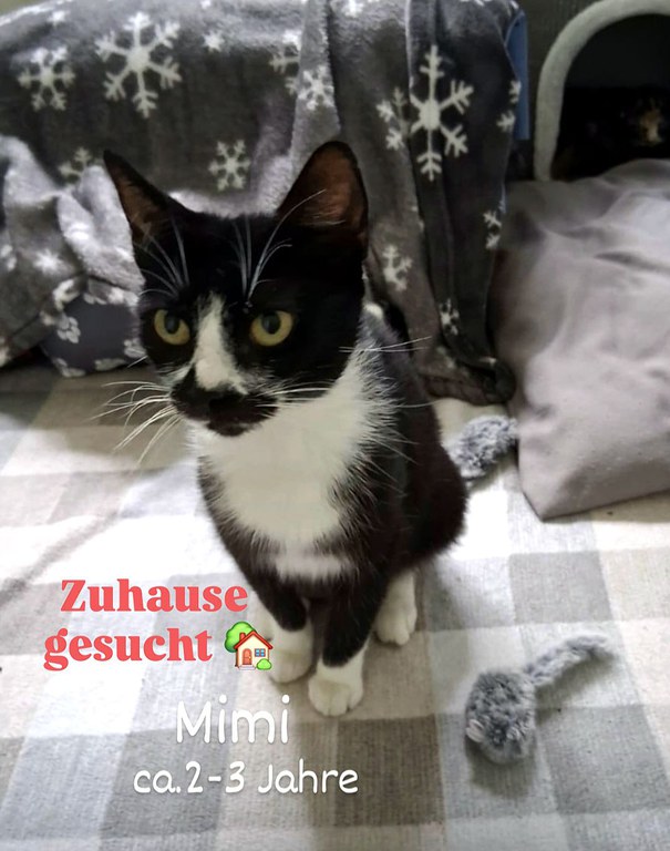 Screenshot_20251116_225409_Instagram.jpg Screenshot_20251116_225409_Instagram.jpg