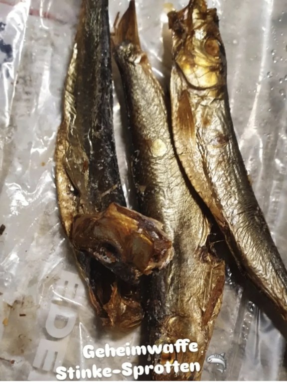 Screenshot_20251227_145252_Instagram.jpg Screenshot_20251227_145252_Instagram.jpg