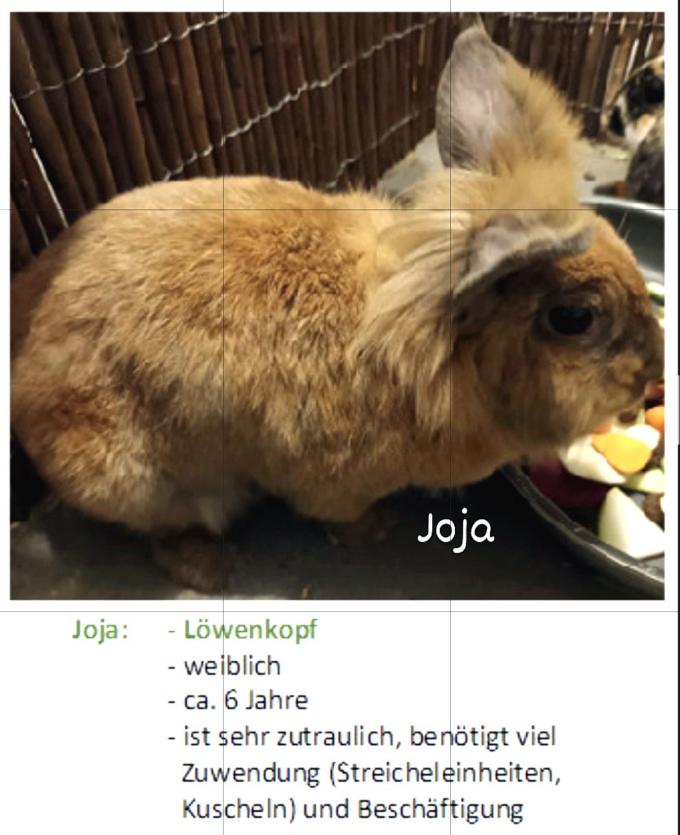 Screenshot_20260426_160850_Photo Editor.jpg