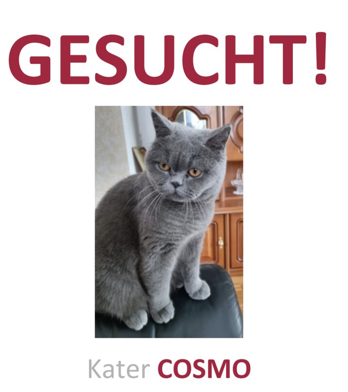 Screenshot_20260428_224123_Samsung Notes.jpg