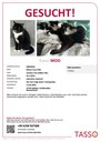 TASSO_Suchplakat_S3054564.jpg