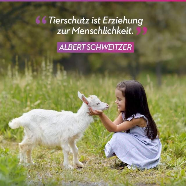 Tierschutz- Lübben- Aktiv 20230206_193353.jpg