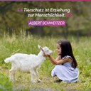 Tierschutz- Lübben- Aktiv 20230206_193353.jpg