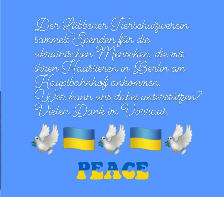 Tierschutzverein.jpg