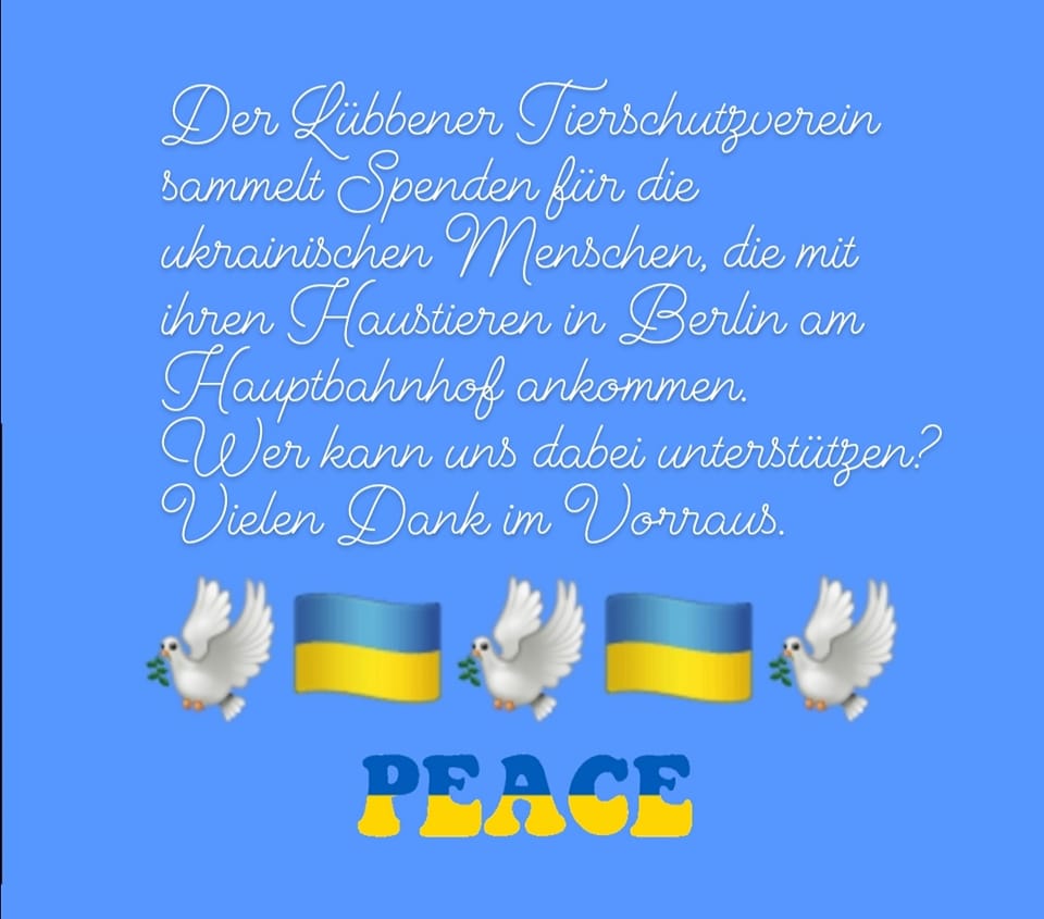 Tierschutzverein.jpg