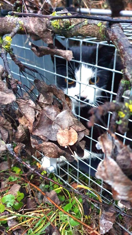 Unbenannt-1.jpg Unbenannt-1.jpg