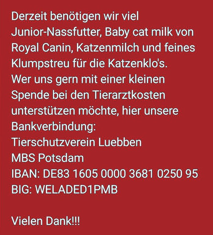 Unbenannt-1.jpg