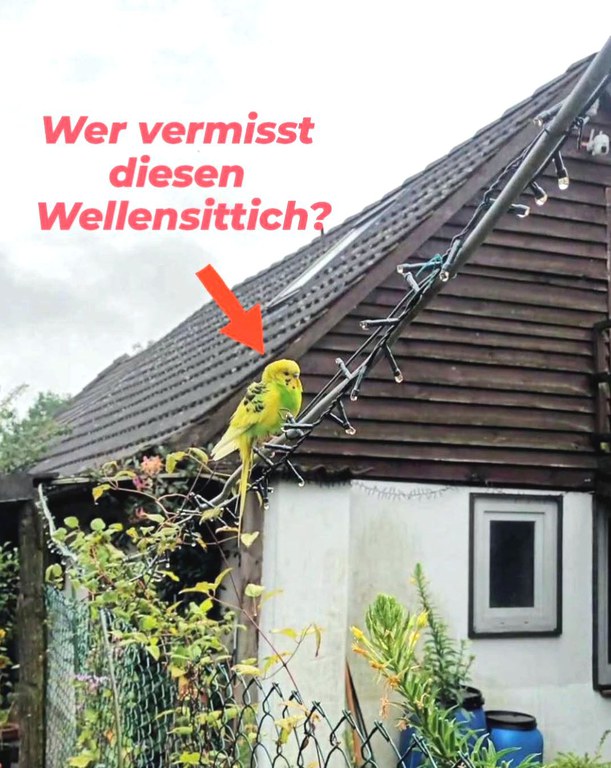 Unbenannt-2.jpg