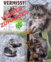 WhatsApp Bild 2025-07-02 um 07.35.11_a1bcba0b.jpg