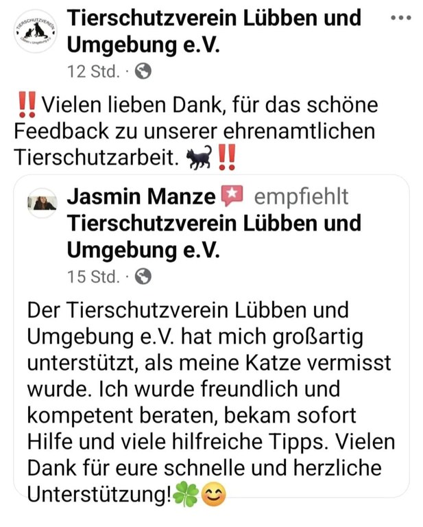 WhatsApp Bild 2025-07-02 um 07.35.28_4a977631.jpg