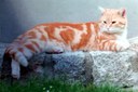 WhatsApp Bild 2025-09-25 um 22.57.02_79b77dfd.jpg
